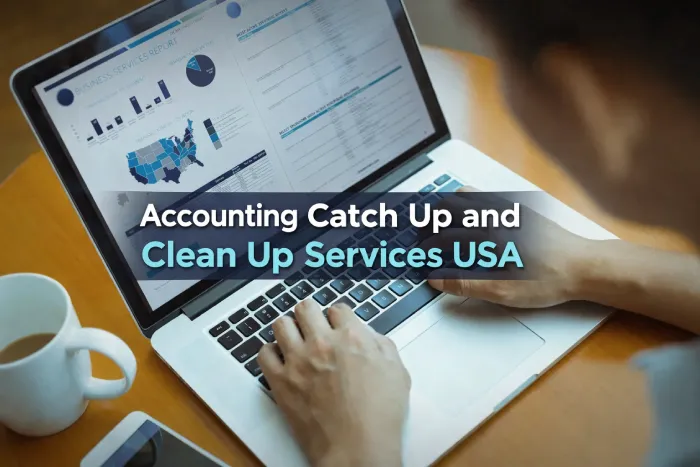 accounting catch up and clean up services usa